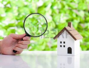 Smith Emsley Partnership for chartered surveyors report