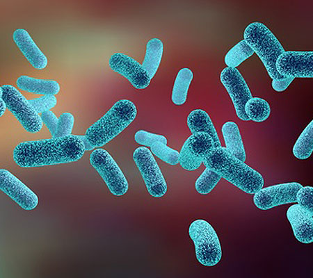 legionella risk assessment